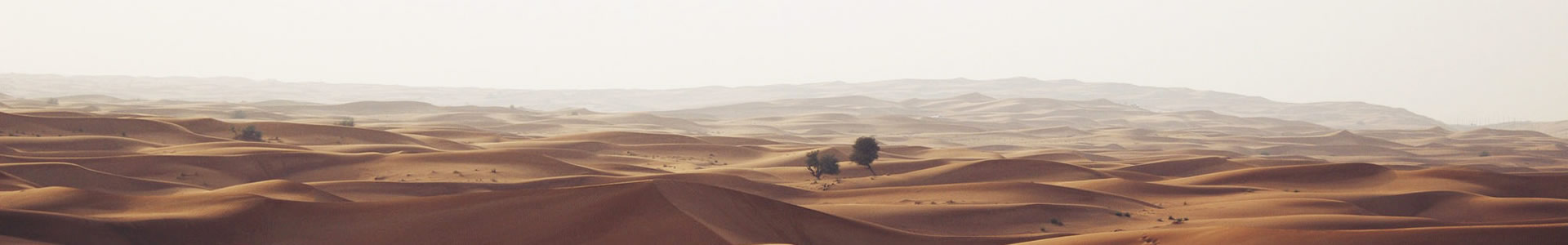 ɽ˫Ƽ޹˾